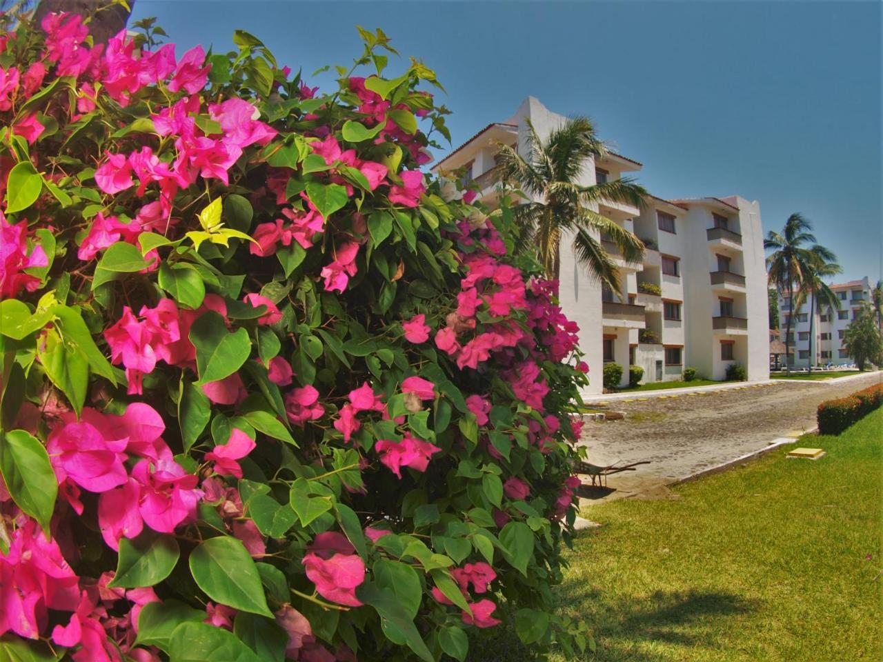 مانزانيلو Suites Las Palmas Hotel Y Villas المظهر الخارجي الصورة